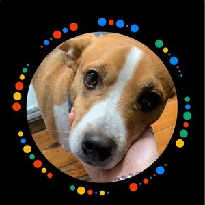 Meet your Posher, Ava